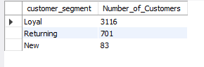 SQL query result: Customer Segments